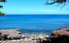 Paradise Bay